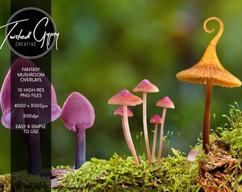 Zhy Daniu Purple Fantasy Background Vinyl for Baby Photo Studio Photography Backdrops Mushroom Props 5x7FT BJ270 Zhy Daniu Purple Fantasy Background Vinyl for Baby Photo Studio Photography Backdrops Mushroom Props 5x7FT BJ270