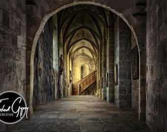 Castle Corridor Digital Background