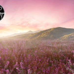 Heather Field Digital Background