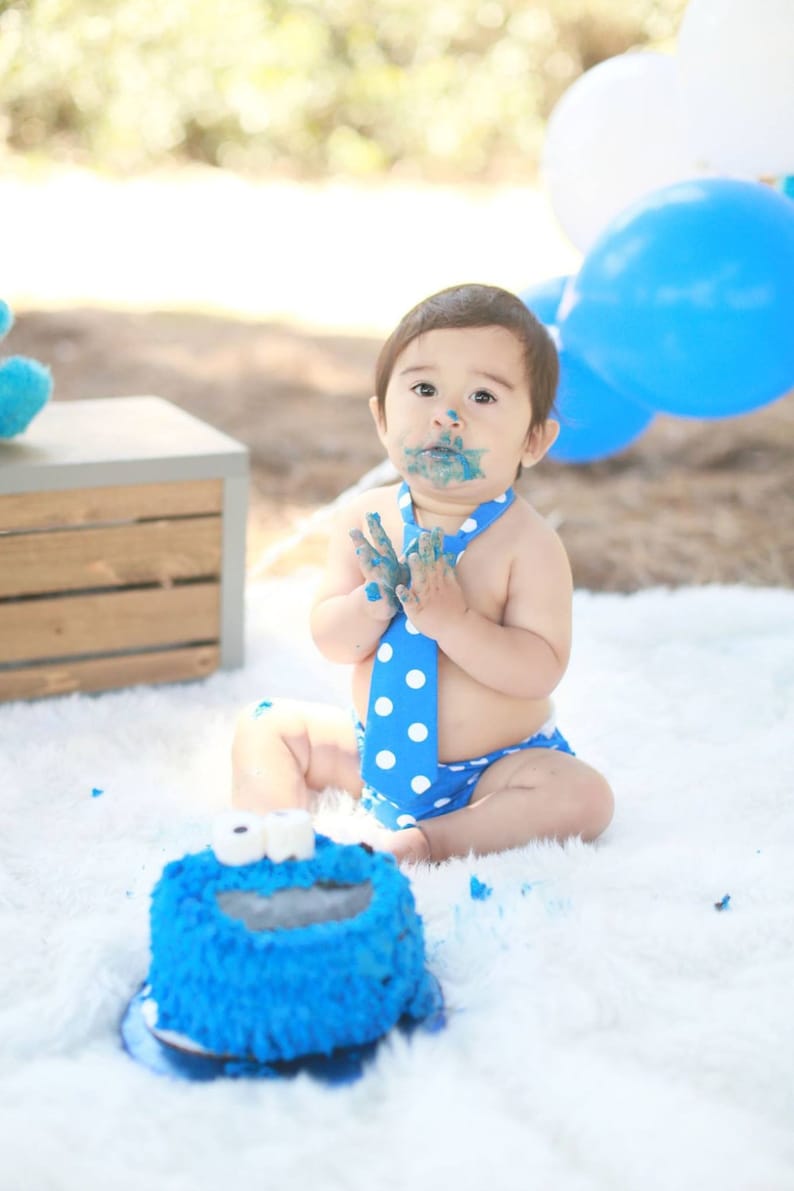 cookie-monster-1st-birthday-cookie-monster-party-boys-1st-etsy