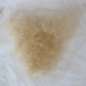  MakupArtist Pubic Toupee Merkin Human Hair Very Small Unisex in  4 Colors High Density 1.08 grams Blond : Everything Else