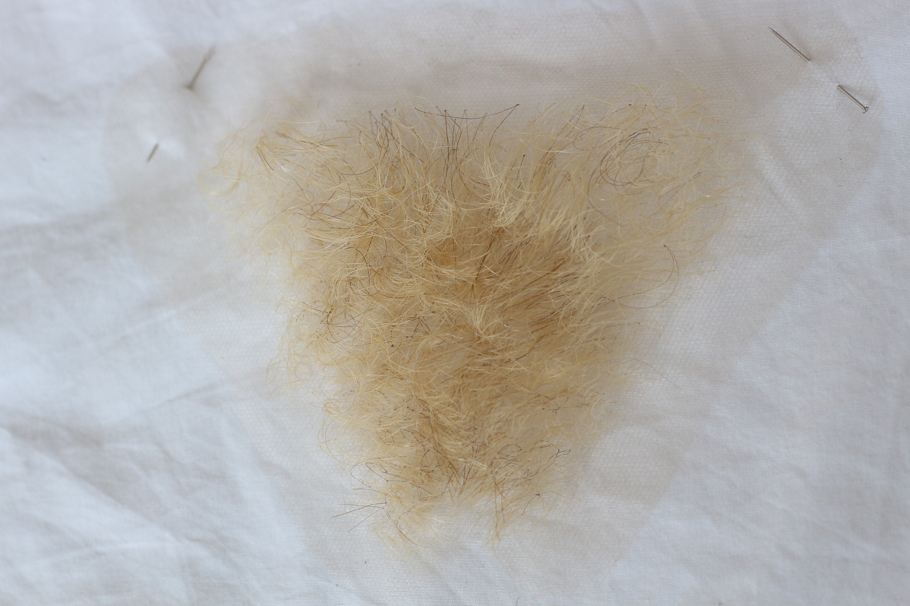 Female to Male, FTM Human Hair Merkin Female Male Pubic Toupee in Four  Colors, High Hair Density 21g, .74oz, -  New Zealand