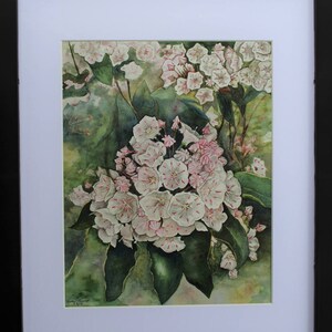 Mountain Laurel watercolor print image 2