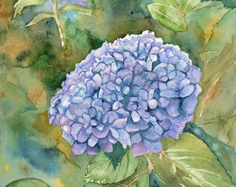 Hydrangea - Giclee watercolor print, 12 by 9 inches