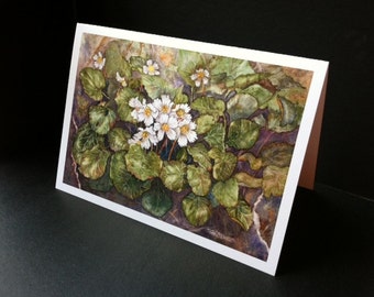 Oconee Bell Watercolor Greeting Card, Botanical Art Print