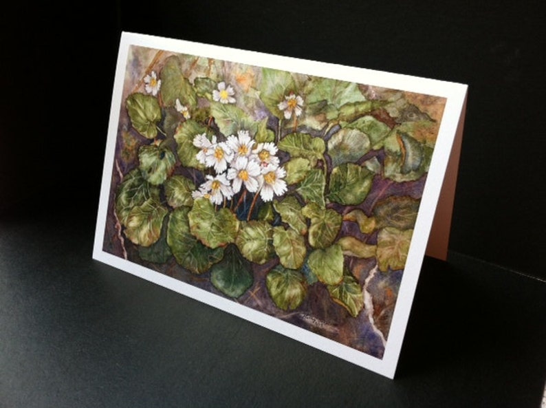 Oconee Bell Greeting Card, Shortia Galacifolia image 1