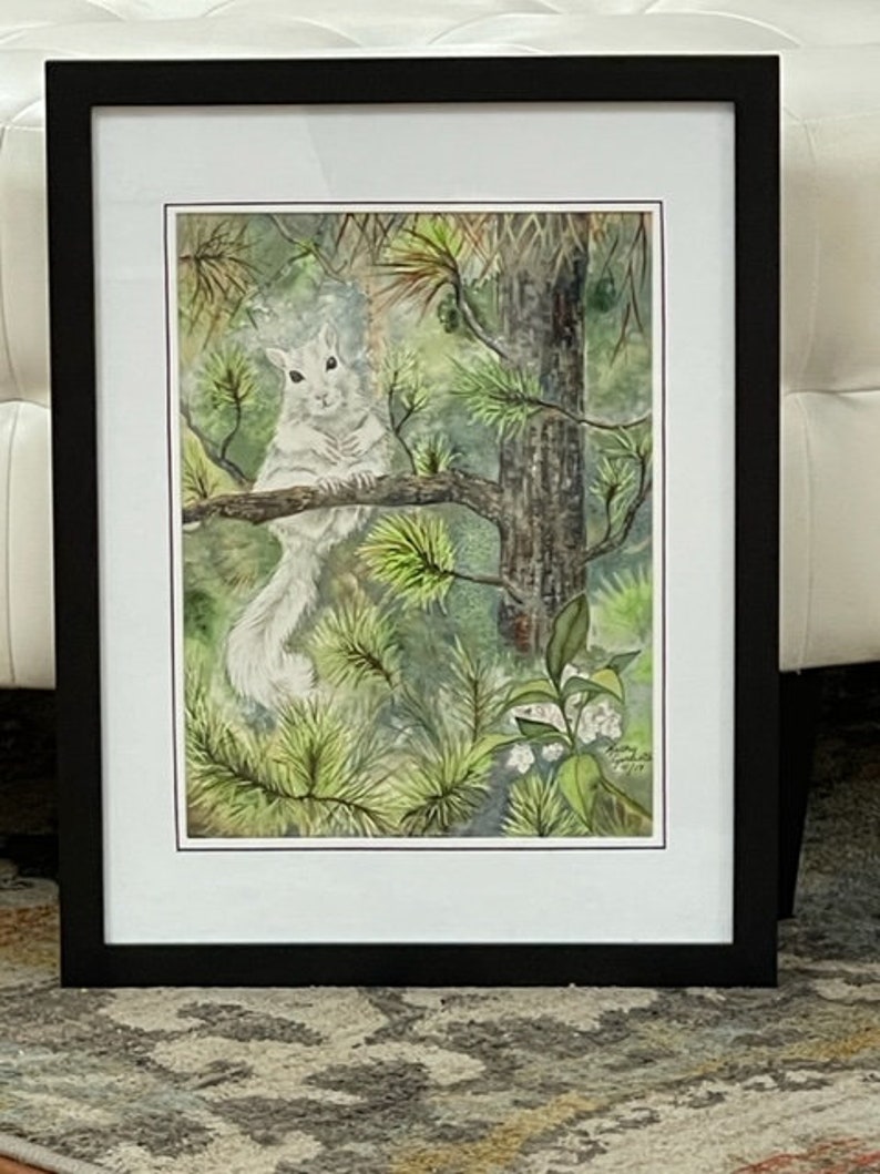 White Squirrel / Black Pine Giclee Print from original watercolor image 2