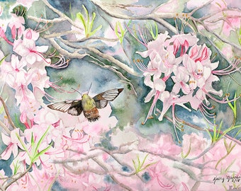 Wild Pink Azalea watercolor print with hummingbird moth