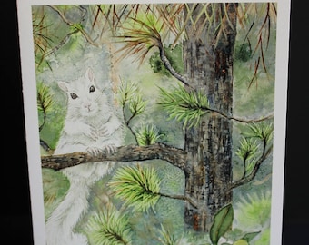 White Squirrel in Black Pine Greeting Card, 5 by 7 inches, blank inside