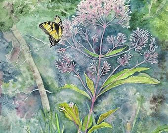 Joe Pye Weed, with tiger swallowtail butterfly, watercolor giclee print 9 by 12 inches