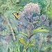 see more listings in the Watercolor Paintings section