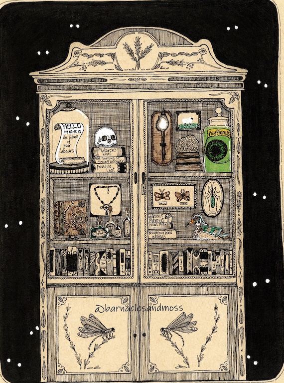 Cabinet of Curiosities Fine Art Print | Reading Nook Decor