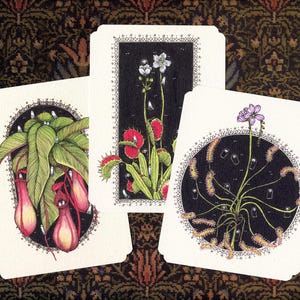 Jeu de 3 cartes à encadrer Plante carnivore | Piège à mouches Vénus | Usine de pichet | Gobelincore | vintage botaniques | Enveloppes incluses