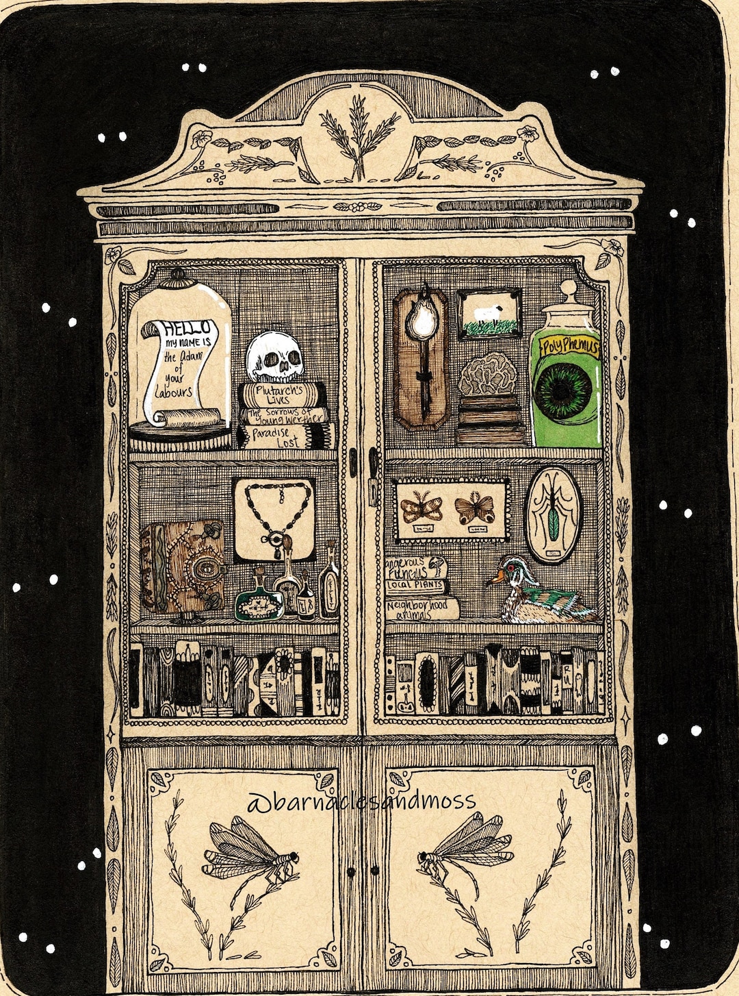 Cabinet of Curiosities Fine Art Print | Reading Nook Decor