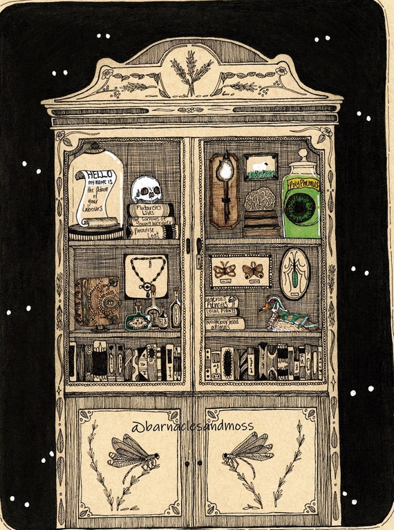 Cabinet of Curiosities Fine Art Print | Reading Nook Decor