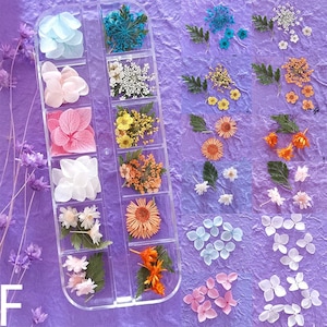 Adesivi per il viso con fiori secchi, adesivi con strass per il trucco da palcoscenico a forma di farfalla, strass per il trucco da sposa, decorazioni floreali con paillettes per bambini, con colla