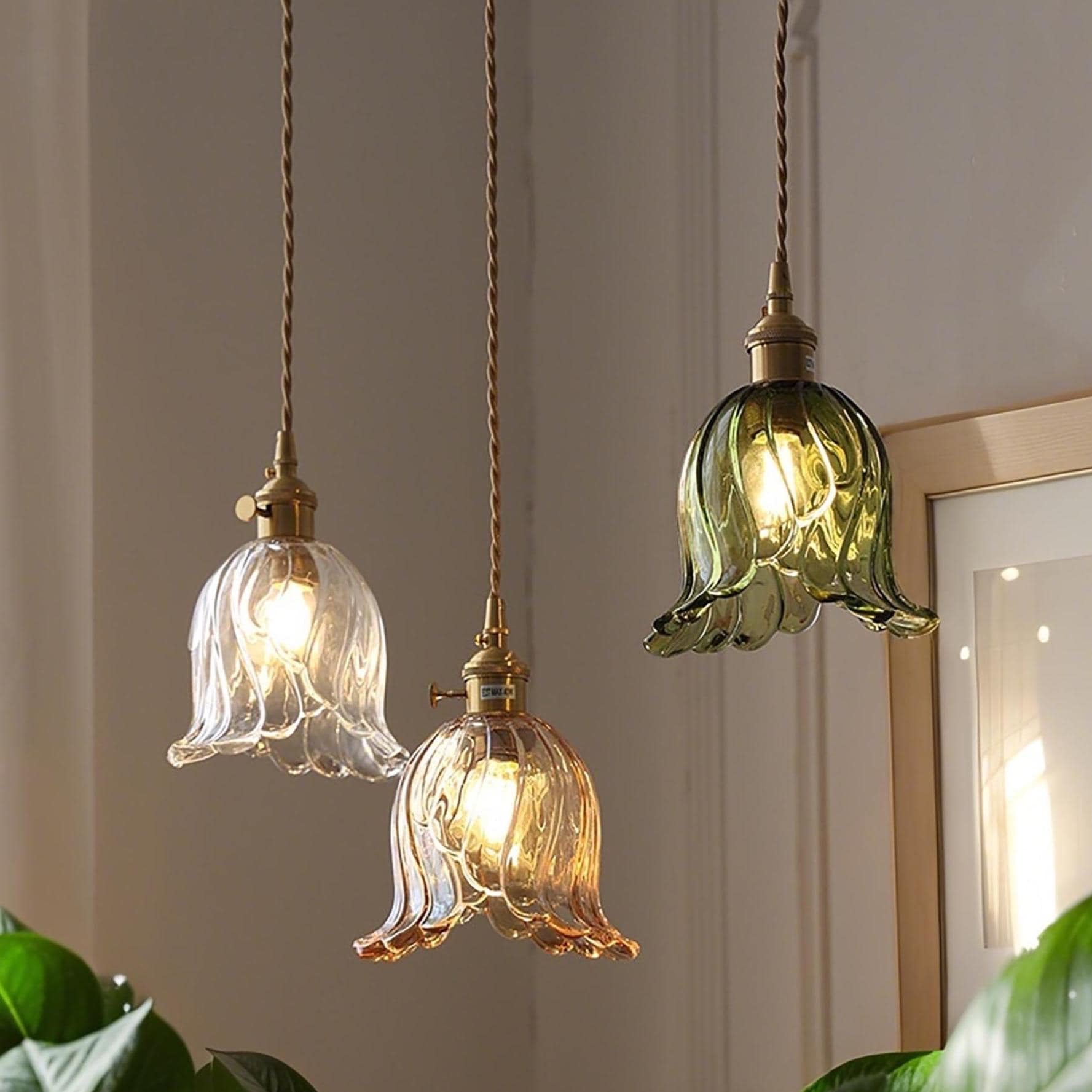 Chandelier Plant Canada