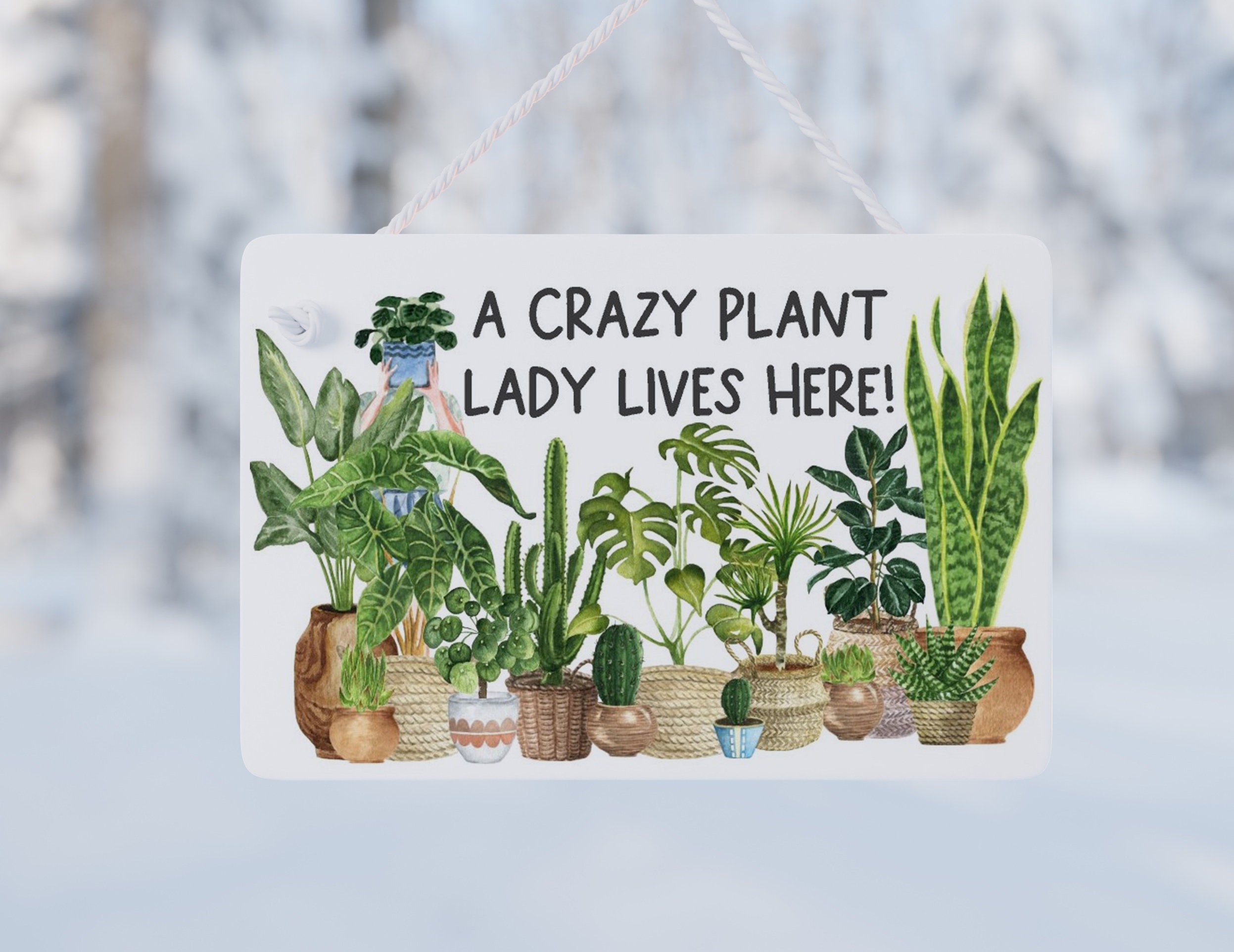 Crazy Plant Lady Lives Here Plaque, Jardin, Signe Etsy France
