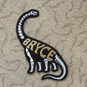 Name Tag Long Neck Dinosaur Dino Personalized Iron On Patch Embroidered Custom image 7
