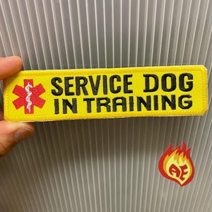 May include: A rectangular yellow embroidered patch with a black border. The text SERVICE DOG IN TRAINING is stitched in black capital letters. To the left is a red six-pointed star of life symbol with a white serpent and staff emblem in the center.