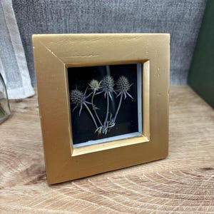 Puede incluir: Un pequeño marco de fotos cuadrado de color dorado con un fondo negro. El marco contiene una exhibición de flores secas, espinosas, azules y verdes. El marco está sobre una superficie de madera de color claro.