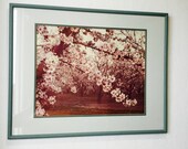Vintage Framed Nature Photography Of Blush Pink Almond Orchard Blossums Signed by Karl Bonfert