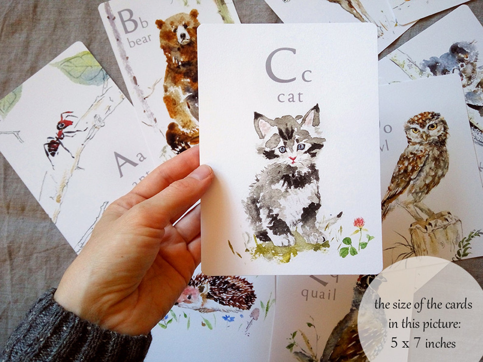 Animal Alphabet Card Set ABC Flash Cards Animal Alphabet Etsy