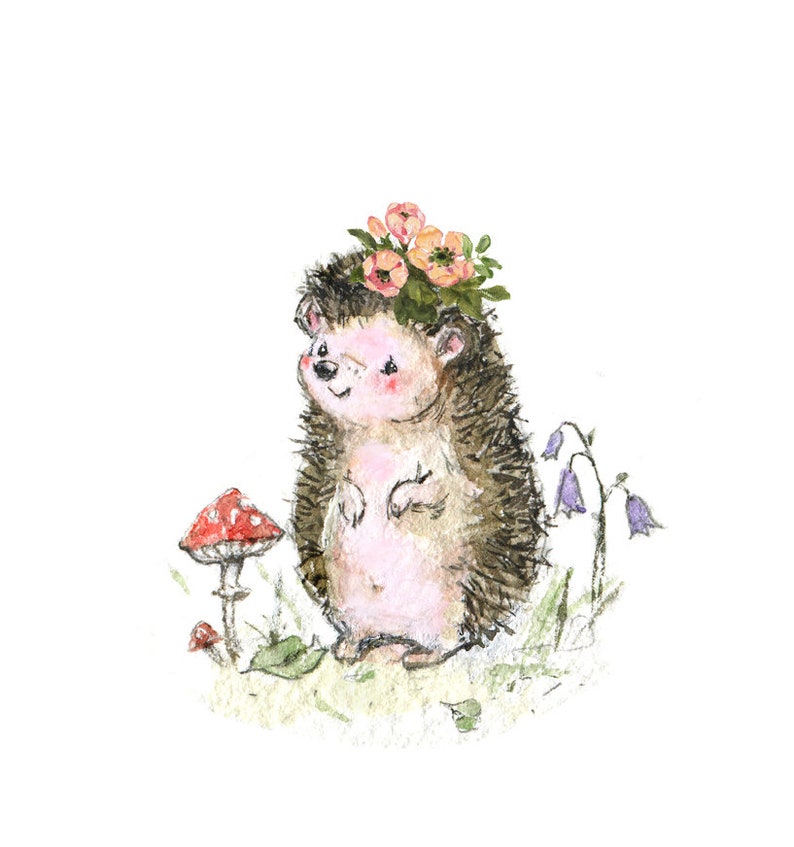 Девочка с ежиком картинки