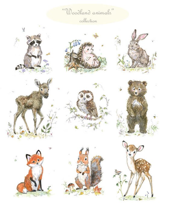 woodland baby animal prints