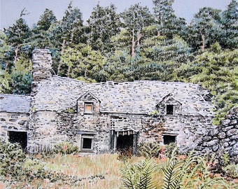 The old farm (above Betws-y-Coed, Snowdonia, Wales)