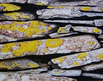 A slate wall with lichen