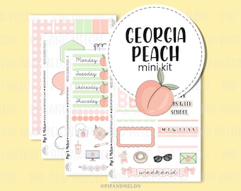 Georgia Peach Mini Samplers, Add-on's for Planners, Common Place Planning and journaling.