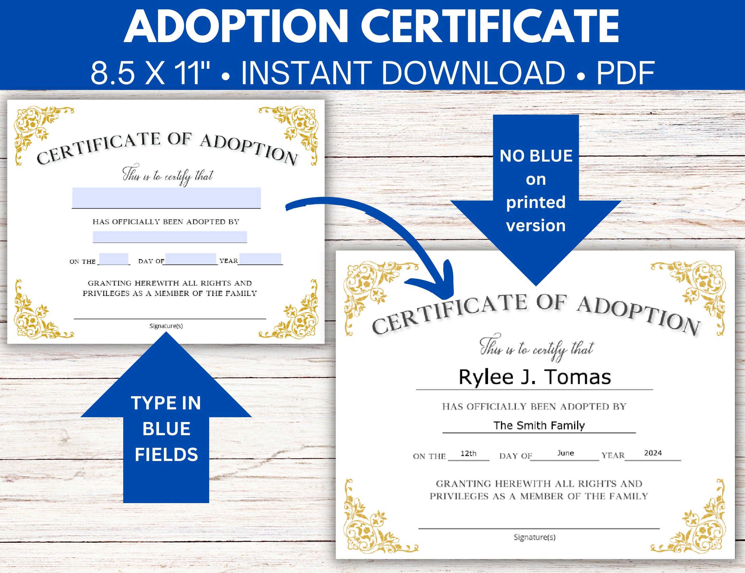 Editable Adoption Certificate Template Fillable Adoption Certificate