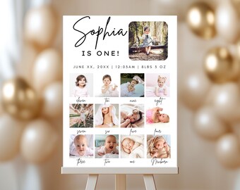 First Birthday Poster Template, Editable Boy or Girl 1st Birthday Party Welcome Sign, Custom Babys First Year Photo Board, Milestone Board
