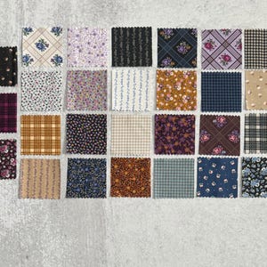 Gather by Whistler Studios for Windham Fabrics 54 Precut 2.5&quot; Squares for English Paper Piecing