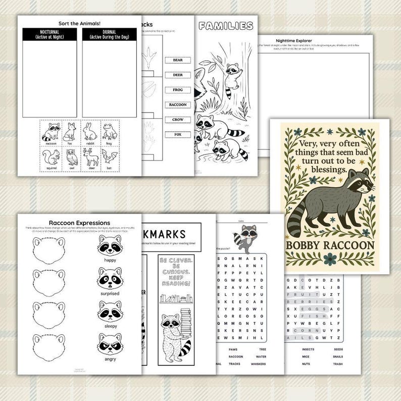 Raccoon Activity Pack: Homeschool Printable Worksheets (PDF Download ...