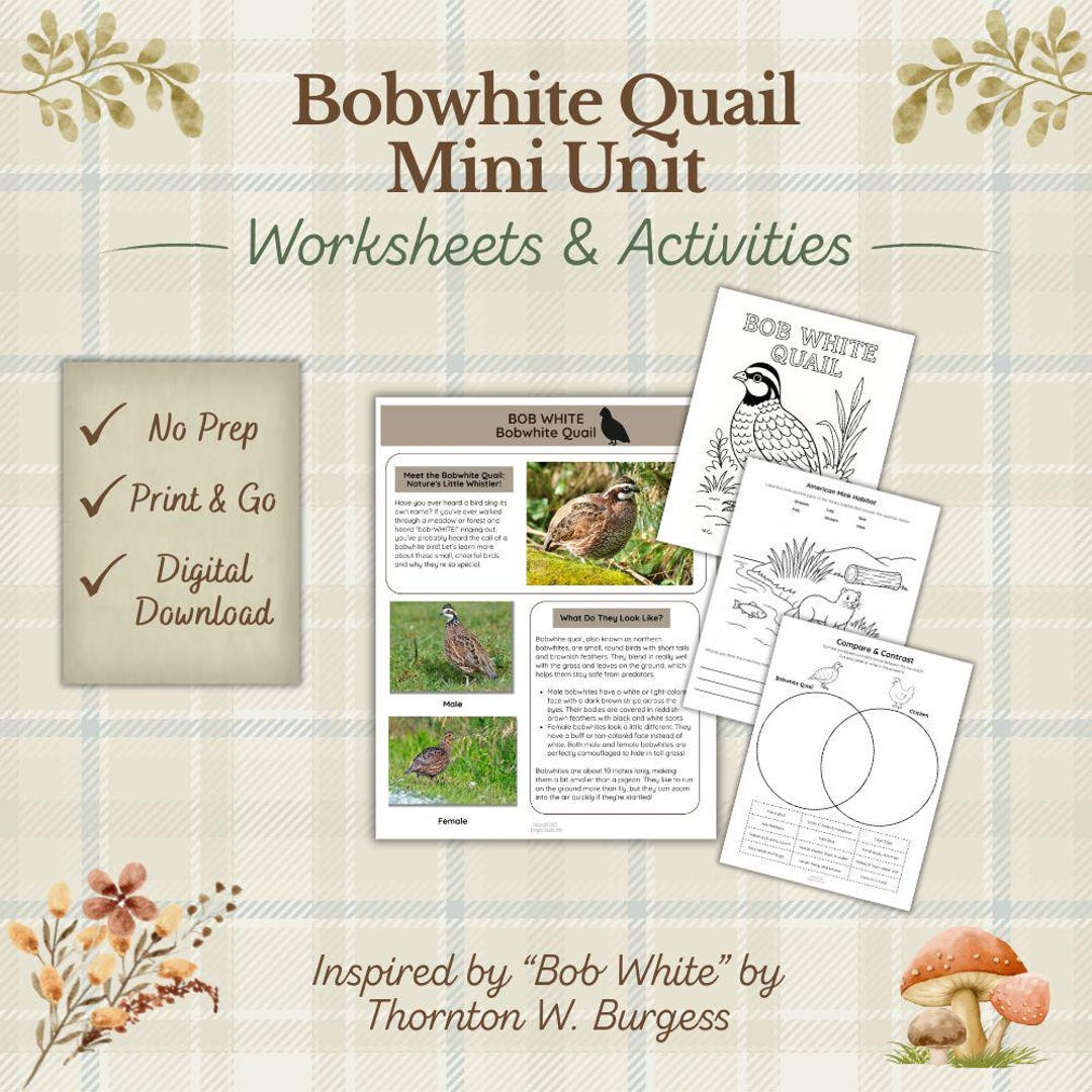 Bobwhite Quail Riddles Bobwhite Quail Activity Pack: Homeschool Printable Worksheets (PDF ...