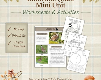Paquete de actividades de codorniz Bobwhite: Hojas de trabajo imprimibles para educación en casa (Descarga PDF)