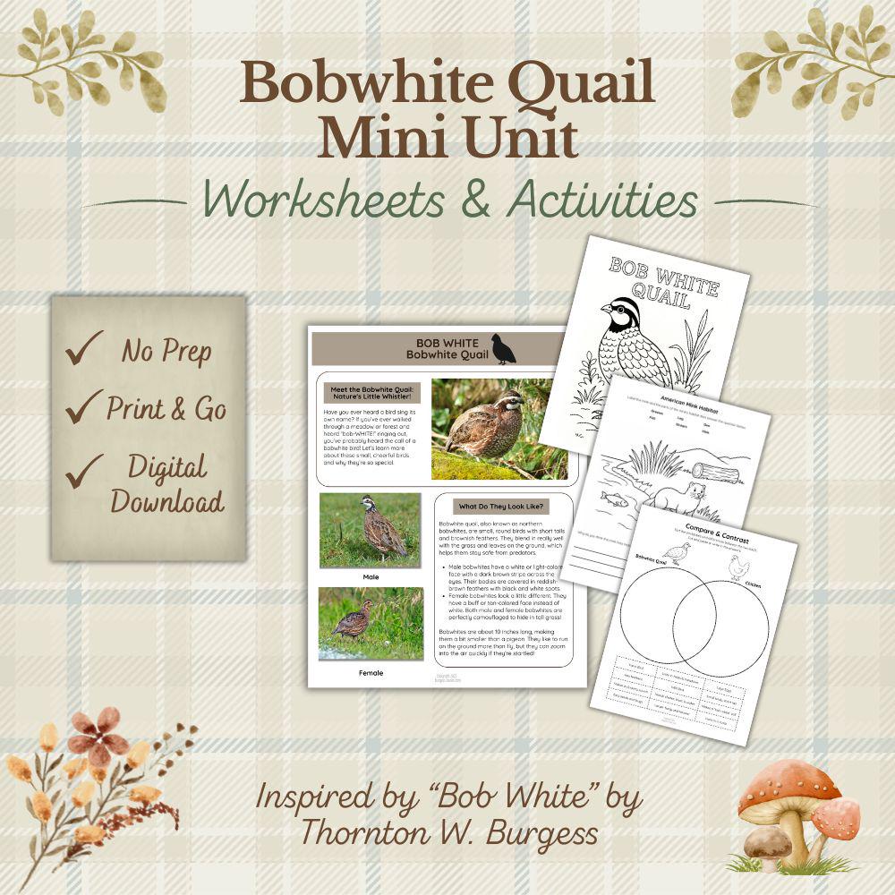 Quail Activity Bobwhite Quail Activity Pack: Homeschool Printable Worksheets (PDF ...