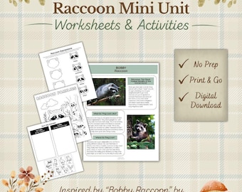 Paquete de actividades sobre mapaches: Hojas de trabajo imprimibles para la educación en casa (Descarga PDF)