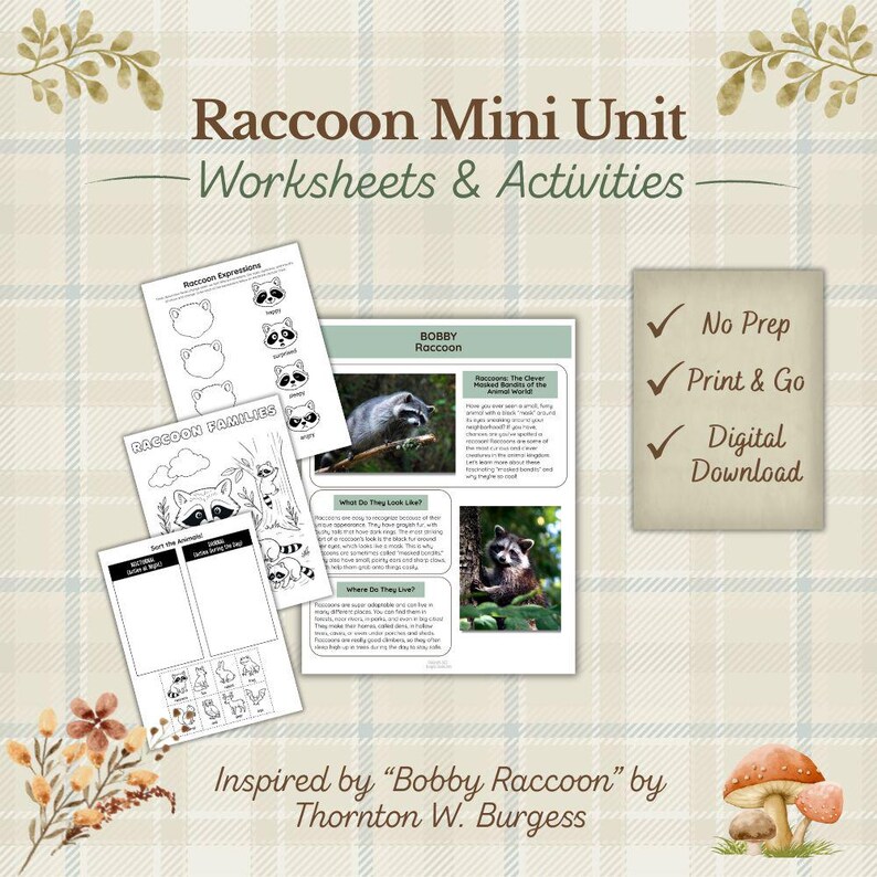 Raccoon Activity Pack: Homeschool Printable Worksheets (PDF Download ...