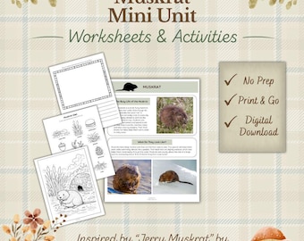 Paquete de actividades sobre la rata almizclera: hojas de trabajo imprimibles para la educación en casa (descarga en PDF)