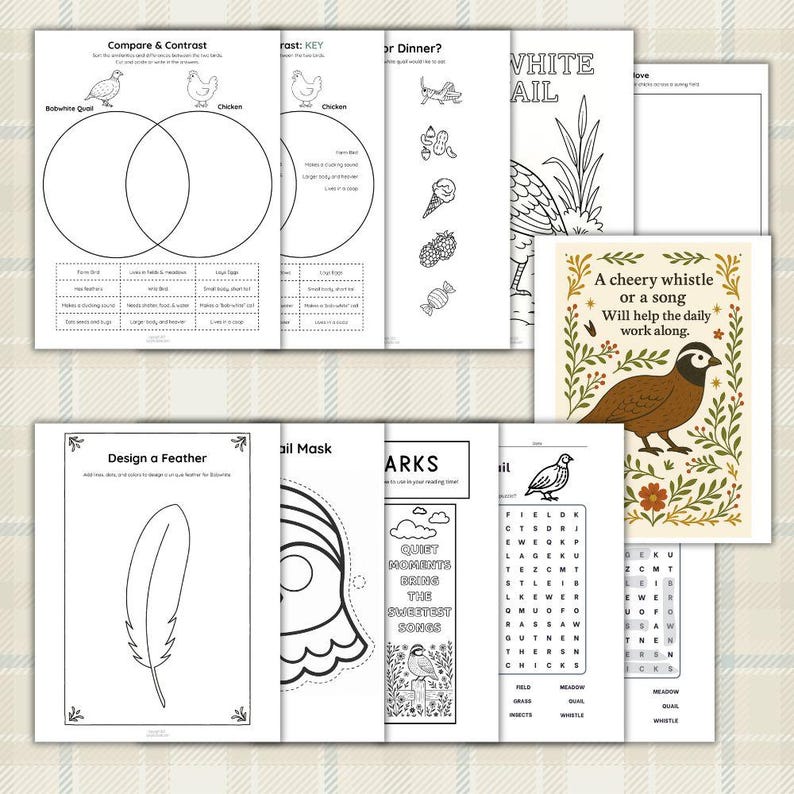 Quail Activity Bobwhite Quail Activity Pack: Homeschool Printable Worksheets (PDF ...