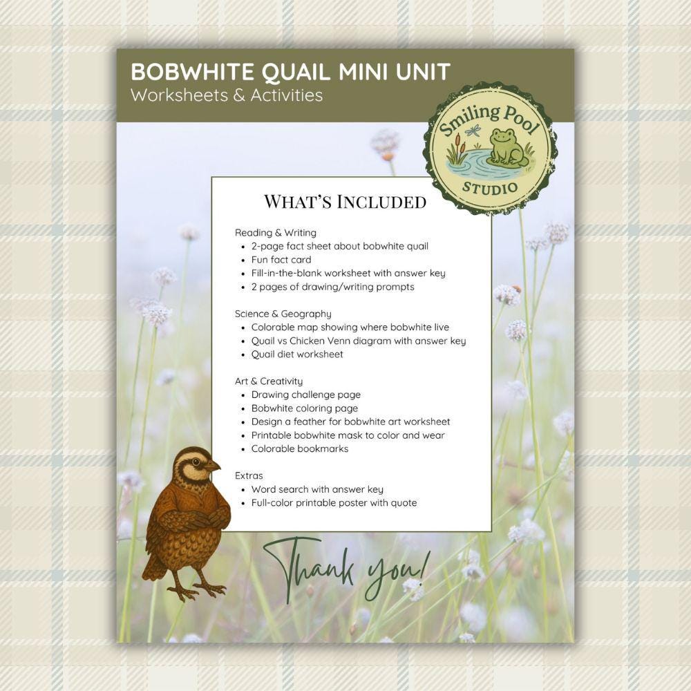 Quail Activity Bobwhite Quail Activity Pack: Homeschool Printable Worksheets (PDF ...