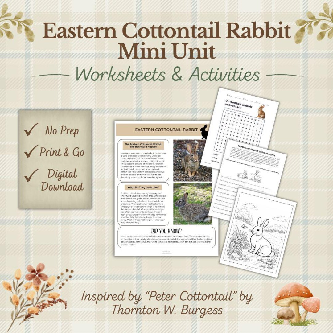 Eastern Cottontail Rabbit Activity Pack Mini Lesson Unit: Homeschool ...