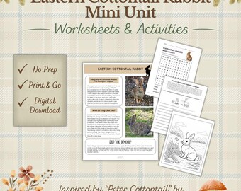 Mini lección del paquete de actividades del conejo de cola de algodón del este: Hojas de trabajo imprimibles para maestros de educación en casa (descarga en PDF)