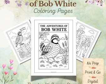 Dibujos para colorear de Bob White – Set de animales de Thornton Burgess (Descarga digital)