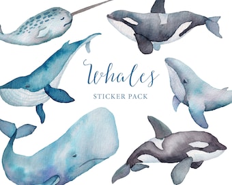 Whales printable sticker pack | watercolor whales | blue whale, narwhal, orca | sea life stickers | watercolour sea animals | sticker set