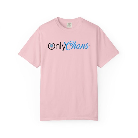 Only Chans Stray Kids Shirt, Funny Christopher Bang Chan Kpop Tee