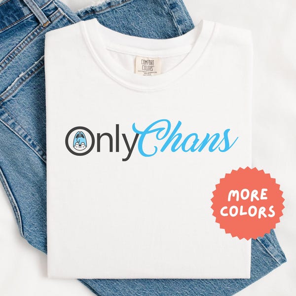 Only Chans Stray Kids Shirt, Funny Christopher Bang Chan Kpop Tee